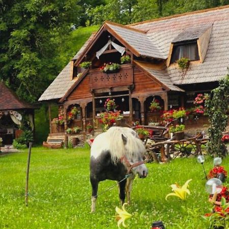 Pensiunea Rustic Oncesti Экстерьер фото