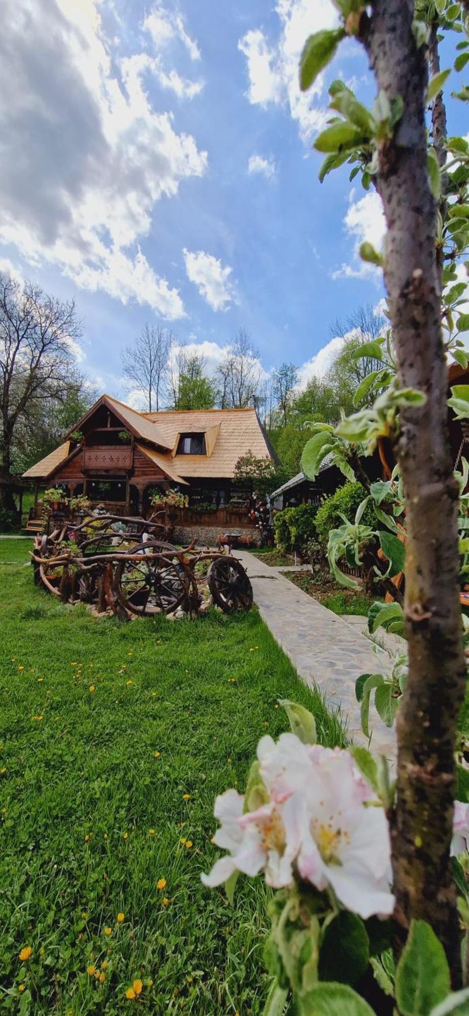 Pensiunea Rustic Oncesti Экстерьер фото