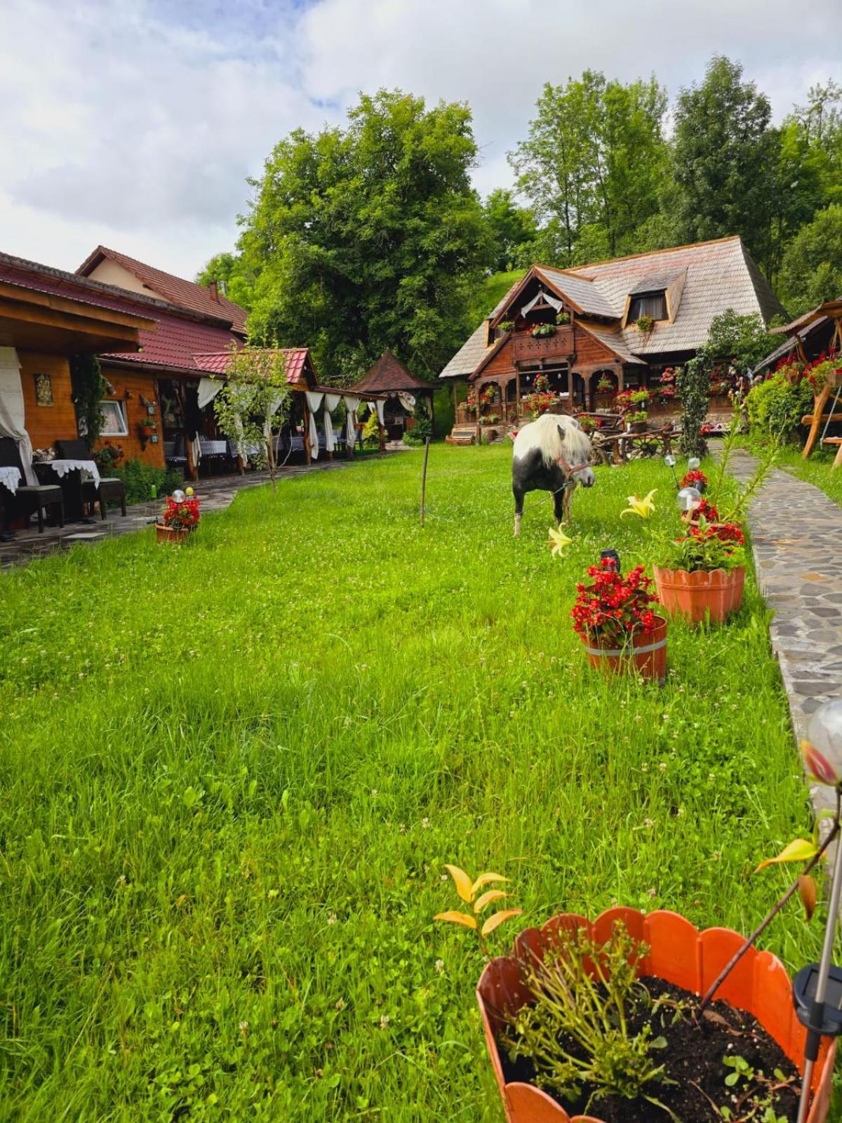 Pensiunea Rustic Oncesti Экстерьер фото